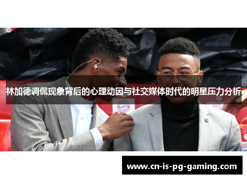 林加德调侃现象背后的心理动因与社交媒体时代的明星压力分析