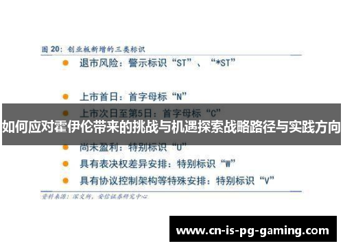 如何应对霍伊伦带来的挑战与机遇探索战略路径与实践方向