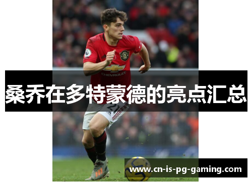 桑乔在多特蒙德的亮点汇总