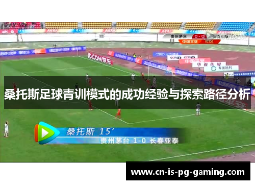 桑托斯足球青训模式的成功经验与探索路径分析