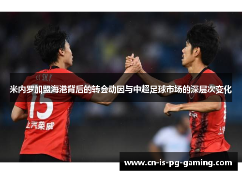 米内罗加盟海港背后的转会动因与中超足球市场的深层次变化