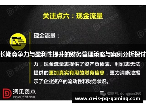 长期竞争力与盈利性提升的财务管理策略与案例分析探讨