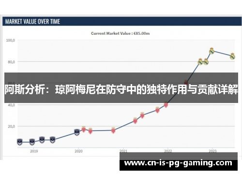 阿斯分析：琼阿梅尼在防守中的独特作用与贡献详解