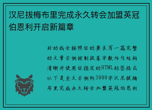 汉尼拔梅布里完成永久转会加盟英冠伯恩利开启新篇章
