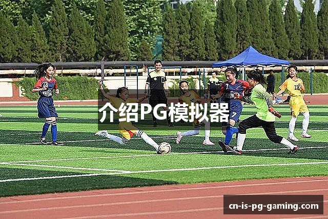 介绍PG模拟器